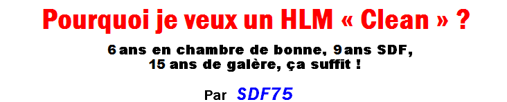 comment devenir un bon sdf